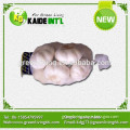 2015 New Crop Chinese Fresh Garlic